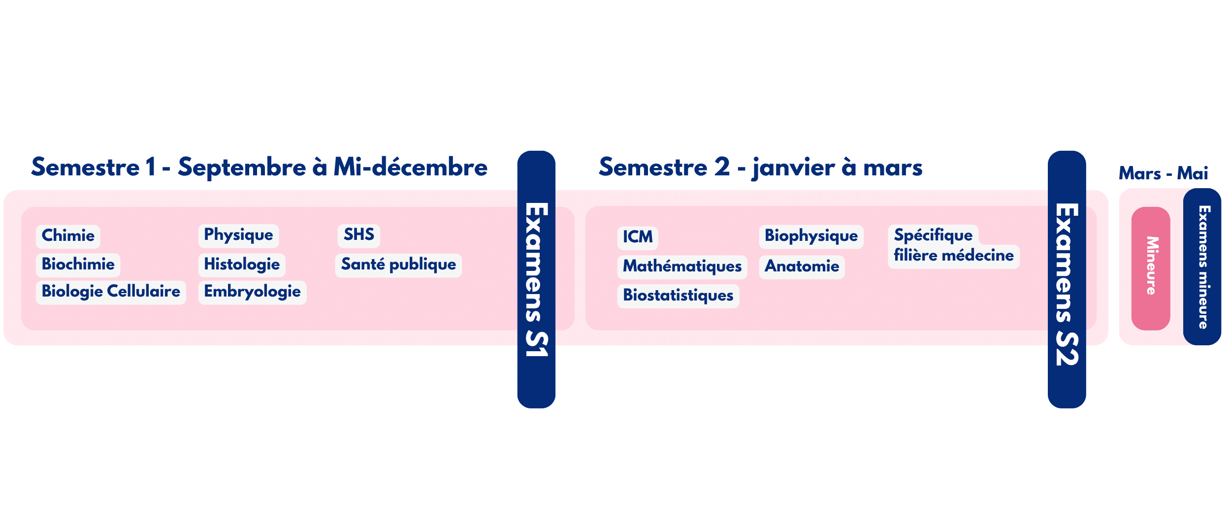 CPCM - Le contenu de l'année de PASS à Paris pour la prépa CPCM
