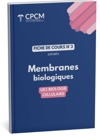 Nos fiches de cours, conçues par les professeurs CPCM, reprennent l’essentiel du programme de ta faculté. Claires, structurées et mises à jour chaque année, elles te font gagner un temps précieux et facilitent tes révisions.