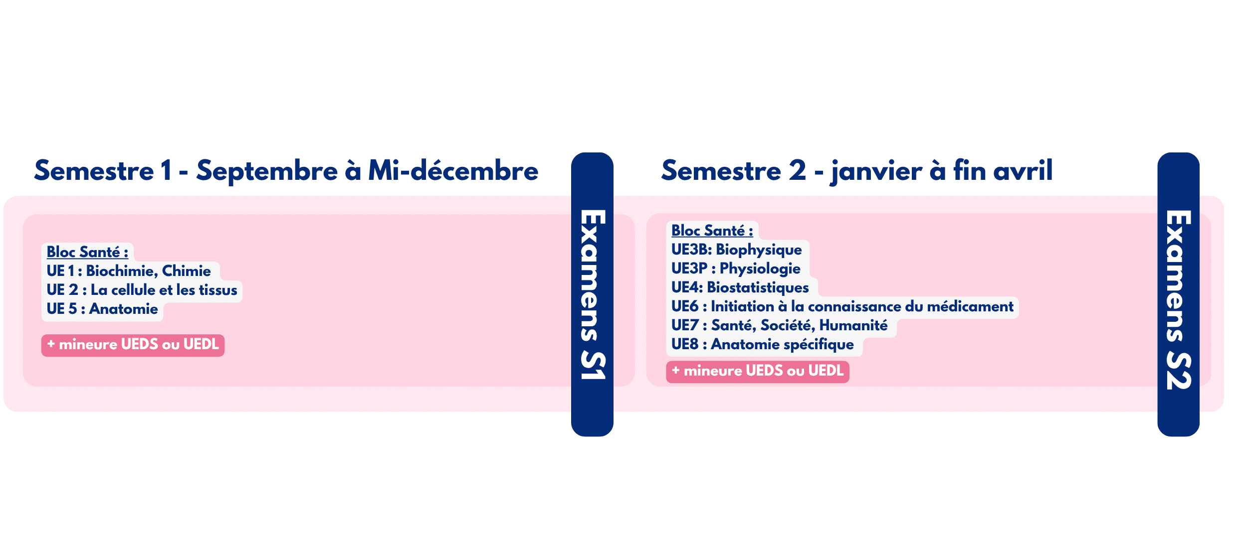 CPCM - Le contenu de l'année de PASS à Sorbonne Université pour la prépa CPCM