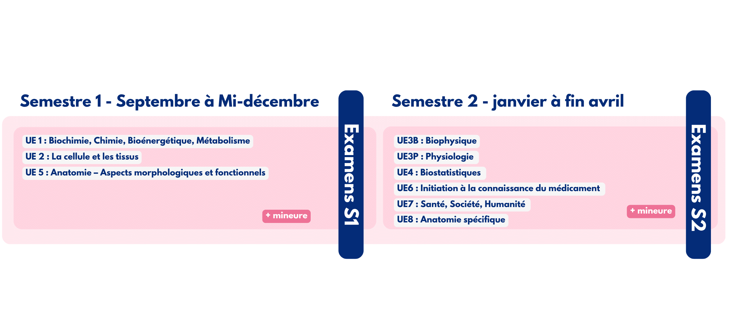 CPCM - Le contenu de l'année de PASS à Sorbonne Université pour la prépa CPCM