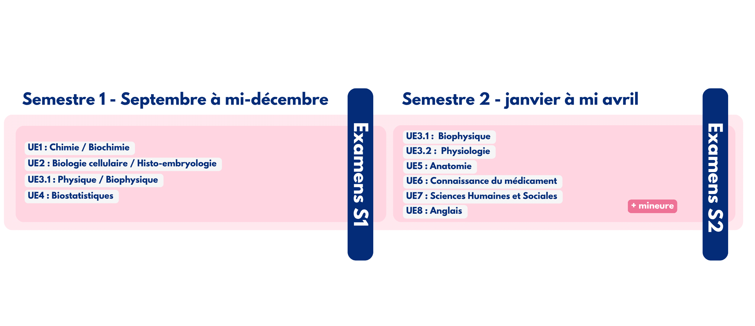 Organisation de l'année à l'UVSQ