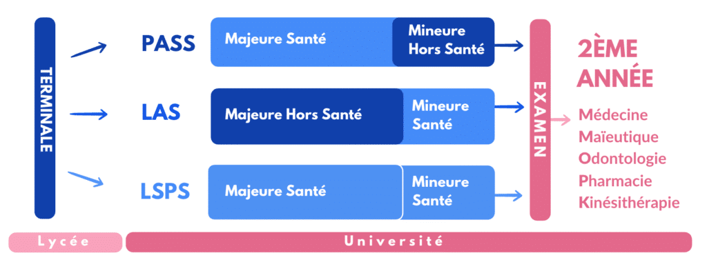 Quelles sont les différences entre PASS LAS et LSPS ? On réponds à vos questions fréquentes!