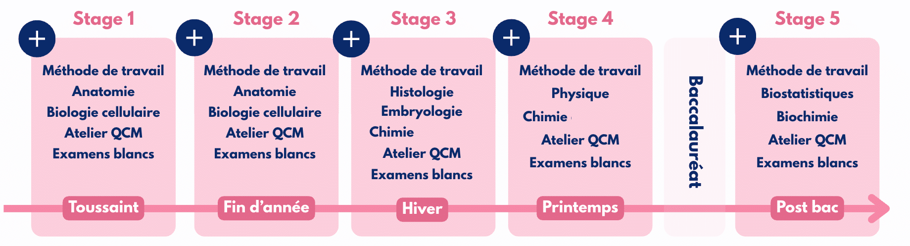 L’accompagnement se déroule pendant l’année de Terminale et se compose de 4 stages pendant les vacances scolaires. En complément, nous mettons à disposition des cours-vidéos entre chaque stage. Notre préparation s’organise autour de 4 piliers