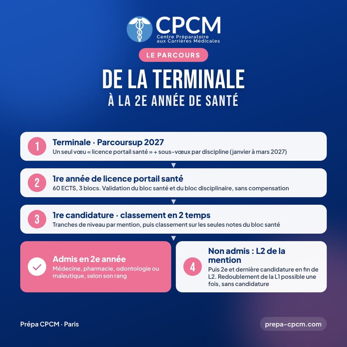 Licence portail santé : le parcours de la Terminale à la 2e année de santé